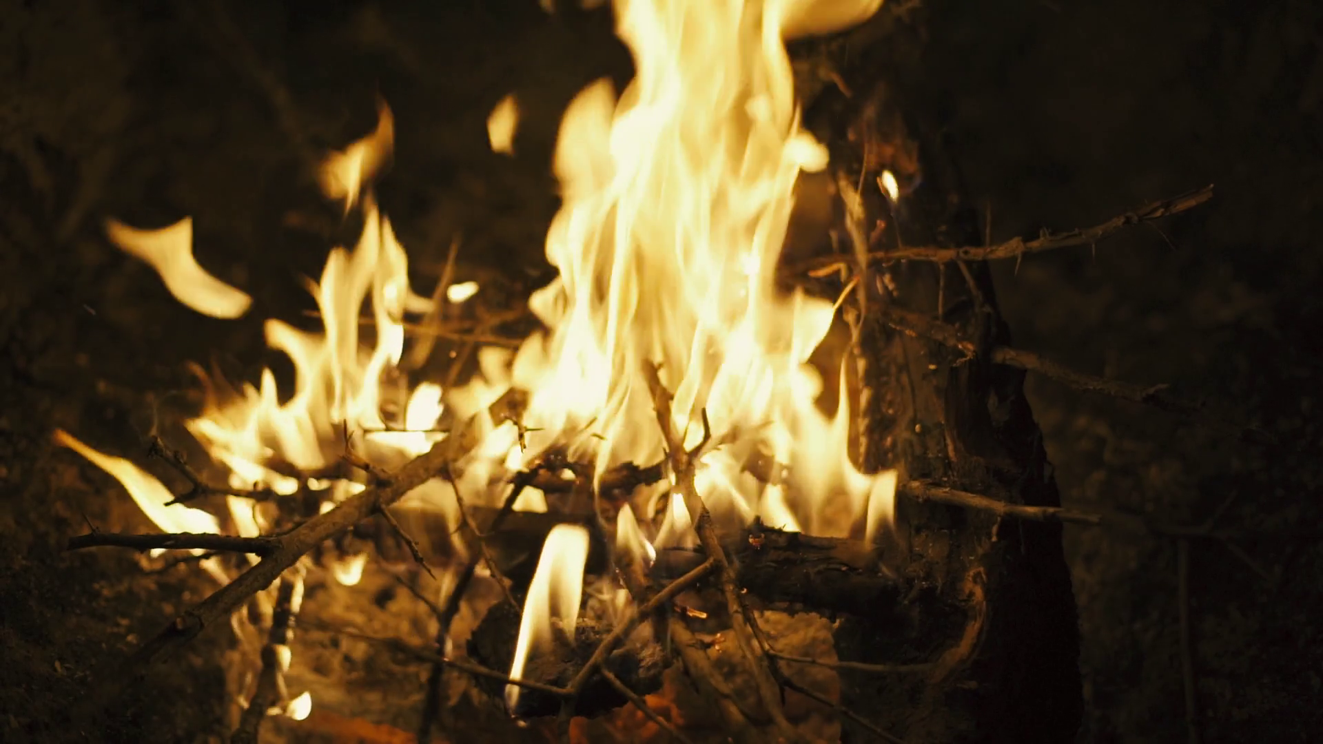 Burn fire with wood on beach or mountain camp. Closeup slow motion