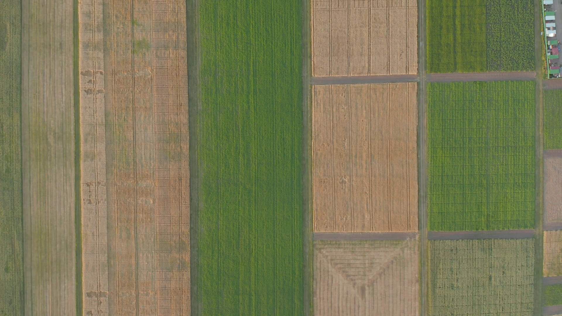 Exploring Diverse Agricultural Fields Across Stock Footage SBV ...