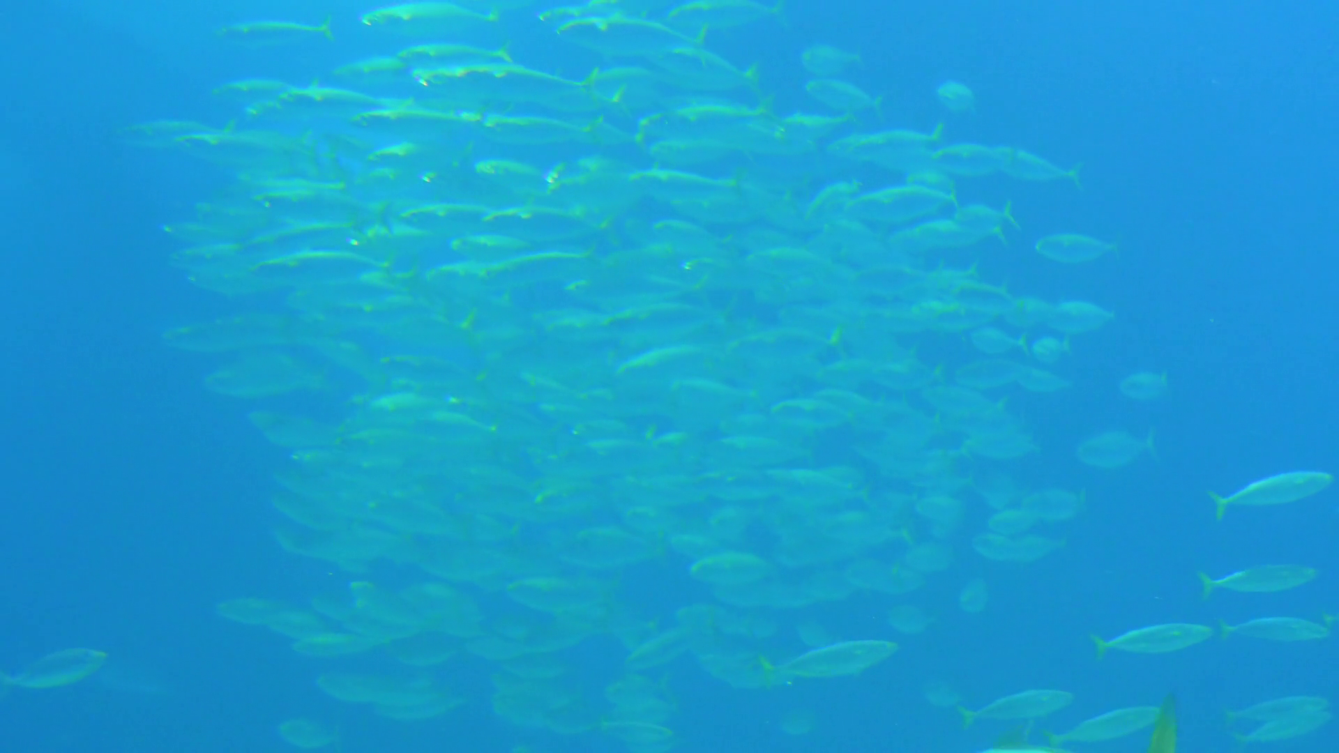 Underwater Exploration Reveals Stunning Stock Footage SBV-352044747 ...