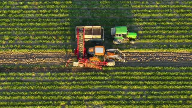 Farming Agriculture Stock Footage: Royalty-Free Video Clips - Storyblocks