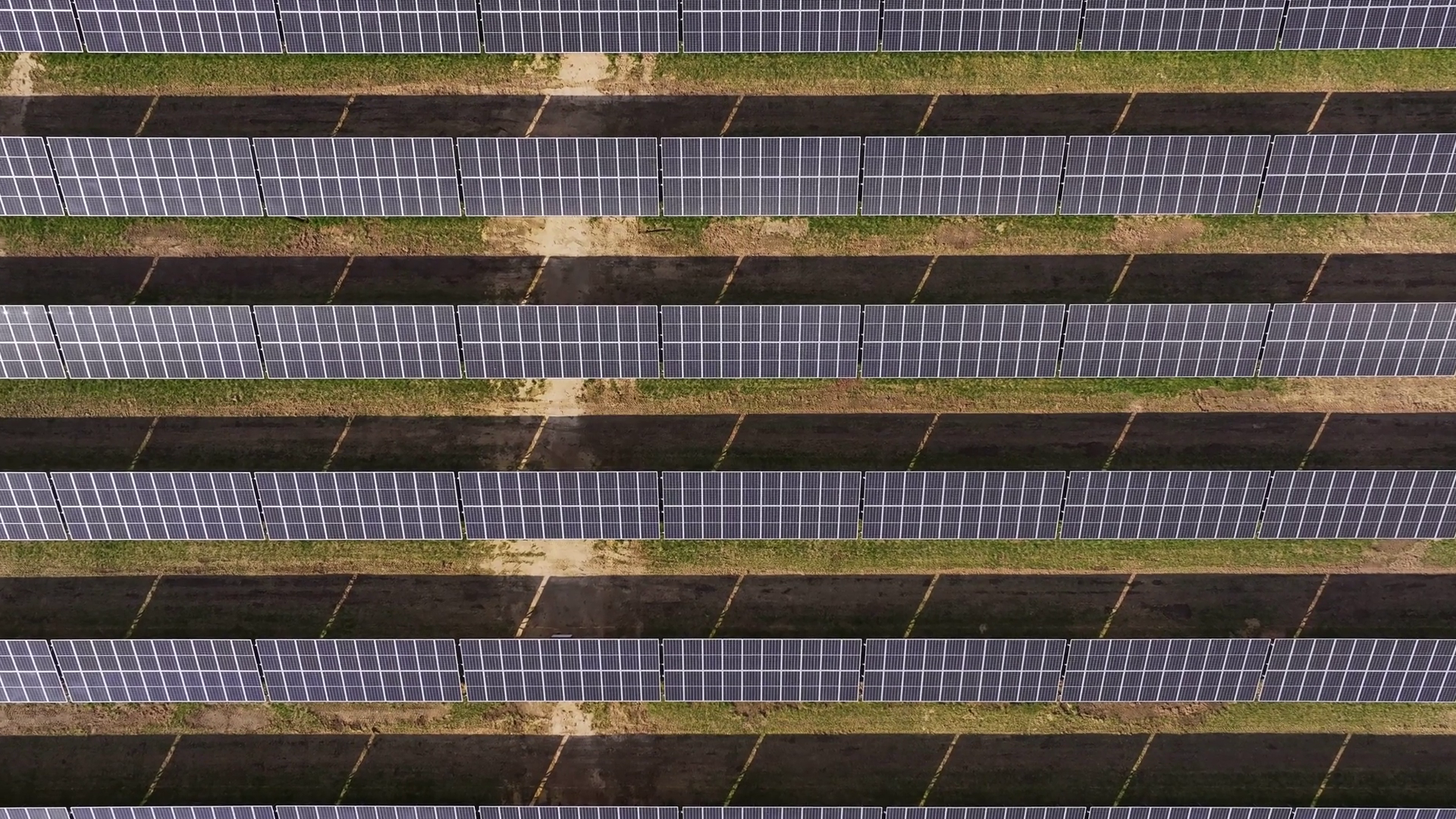 Solar Panels Arranged In Neat Rows Capture Stock Footage SBV-352023101 ...