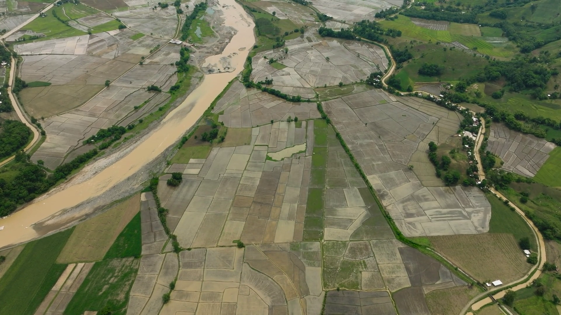 Paddy Farms With Rice Fields River Wetlands Stock Footage SBV-352255005 ...