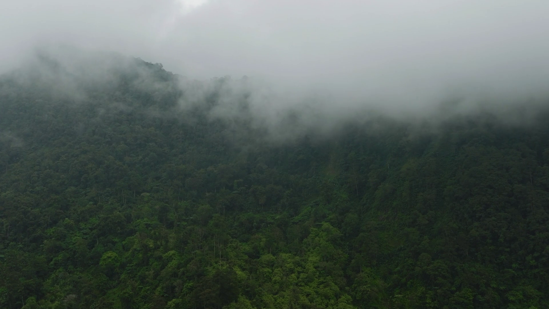 Aerial View Of Green Forest In Mountains Stock Footage SBV-352764374 ...