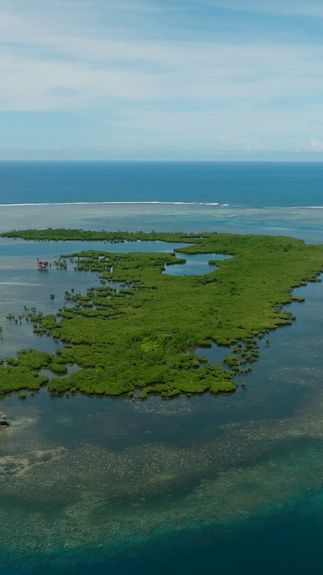 Mangroves With Lagoons Tropical Island With Stock Footage SBV-353189276 ...