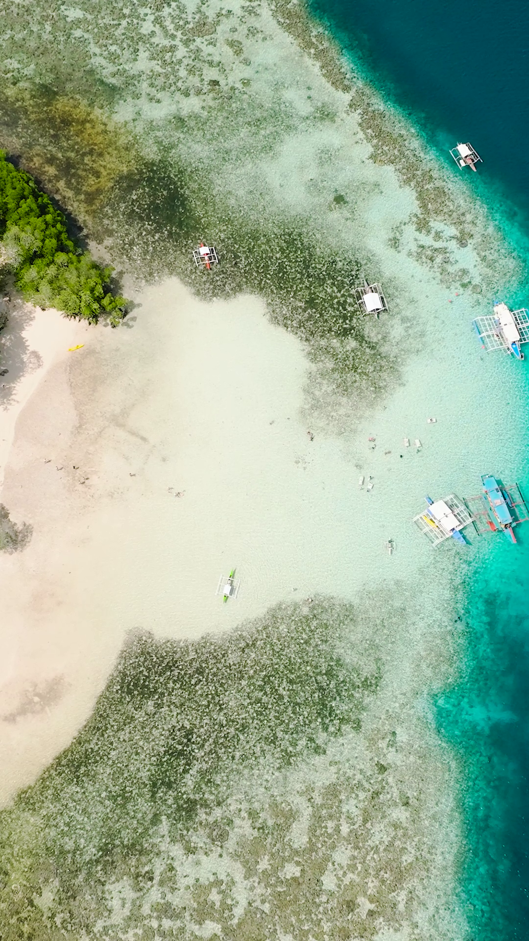 Beautiful Islet With Green Plants Sandy Stock Footage SBV-353215203 ...