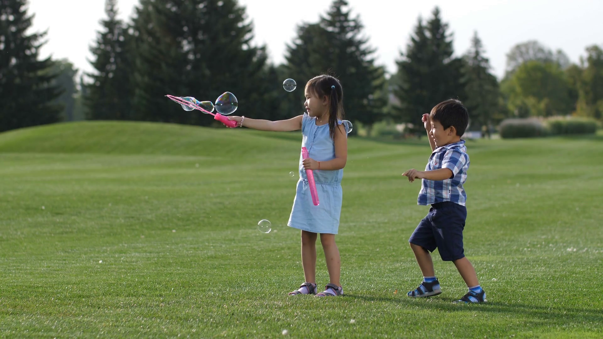 Nice positive little asian girl with pigtails blowing soap bubbles while her little brother chasing and catching them on park lawn
