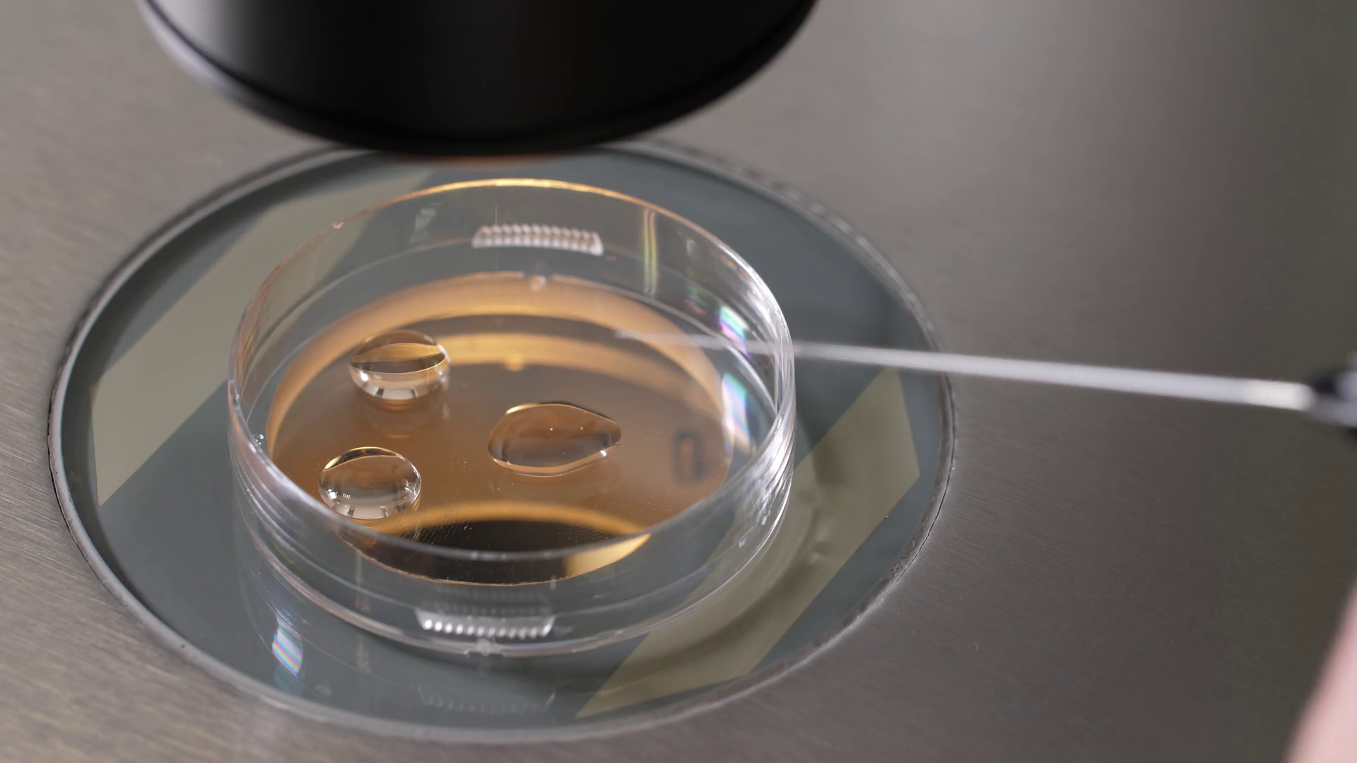 Hand Of Embryologist With Pipette During Stock Footage SBV338165362