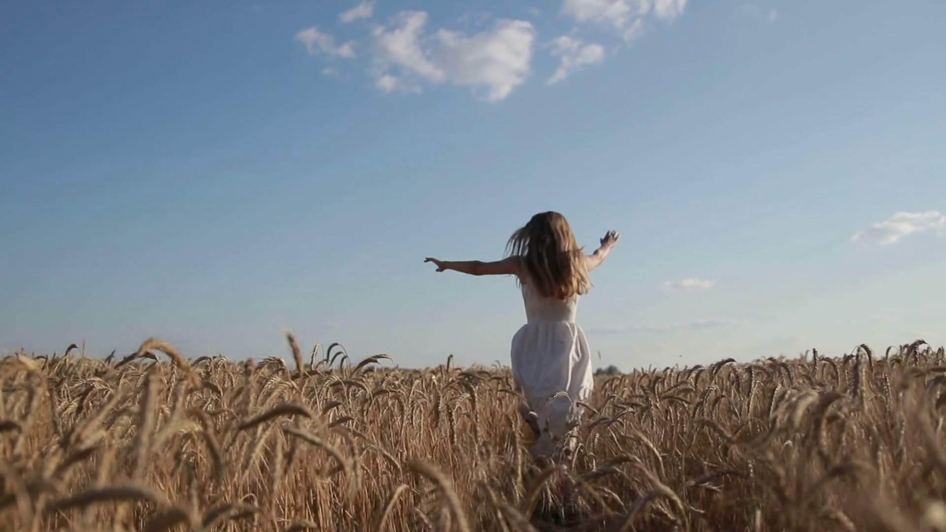 Woman In White Dress Running Through Wheat Stock Footage SBV316398320