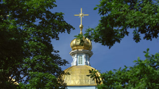 Golden Dome of Smolny Cathedral Amidst Greenery in Saint Petersburg