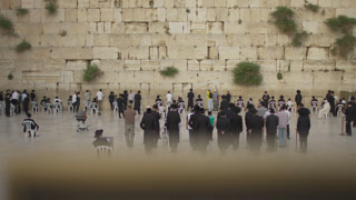 Jewish men at the Wailing Wall