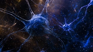 Artistic Concept Of A Neural Network In The Human Brain