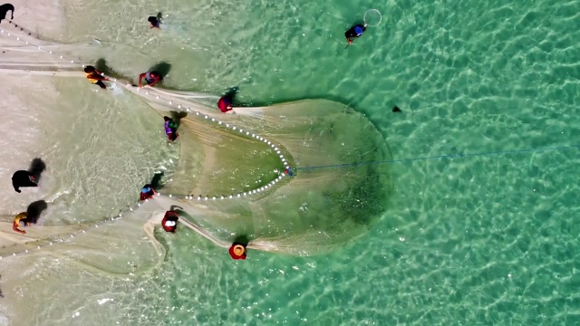 Ocean Fish | Places and Landmarks stock footage - Storyblocks