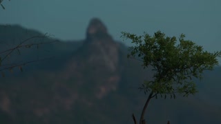 Stunning landscape with green tree against the backdrop of rocky mountains in the summer haze. Camera changes focus