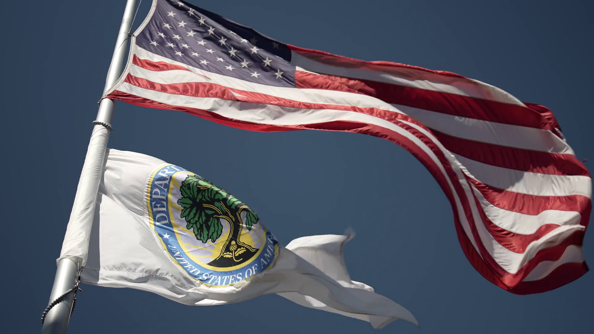 Flags Flying At Department Of Education Stock Footage SBV-351993828 ...