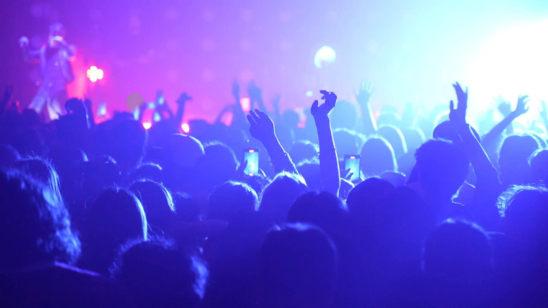 Unrecognizable Fans Dancing At Concert Stock Footage SBV-352193755 ...