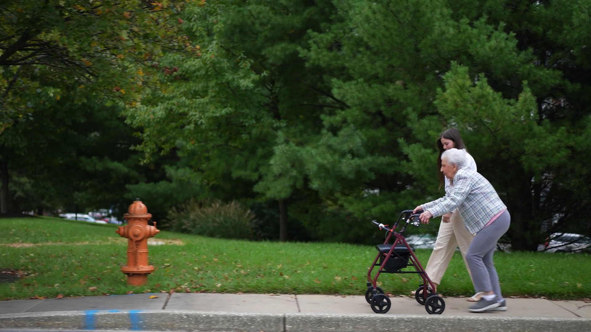 Side View Of Grandmother Using Walker Stock Footage SBV-353406734 ...