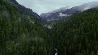 Amazing inspirational epic drone footage of deep and wild green pine forest high in mountains or european alps, protected national park or reserve. Clouds roll over peaks. Wanderlust destination