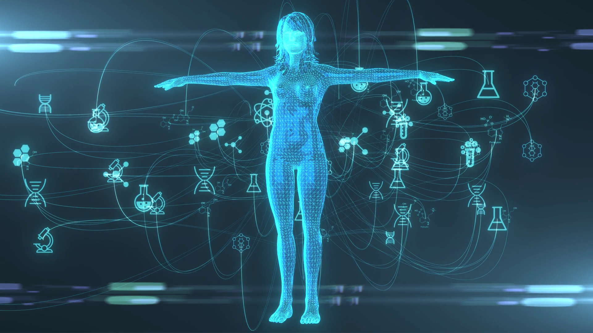 Human Metabolism Body Energy Animation Render Stock Footage SBV