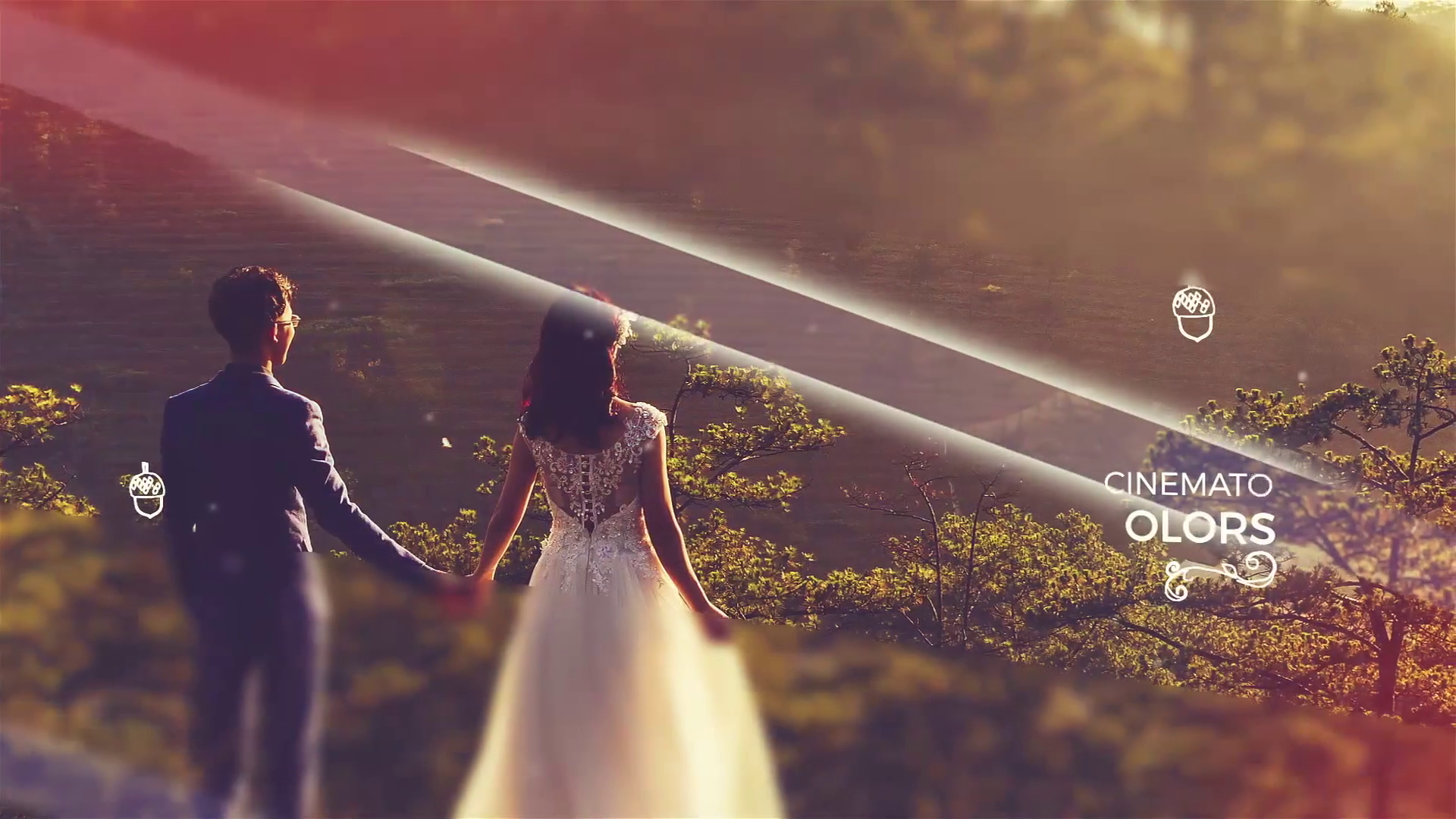 Wedding Slideshow Storyblocks