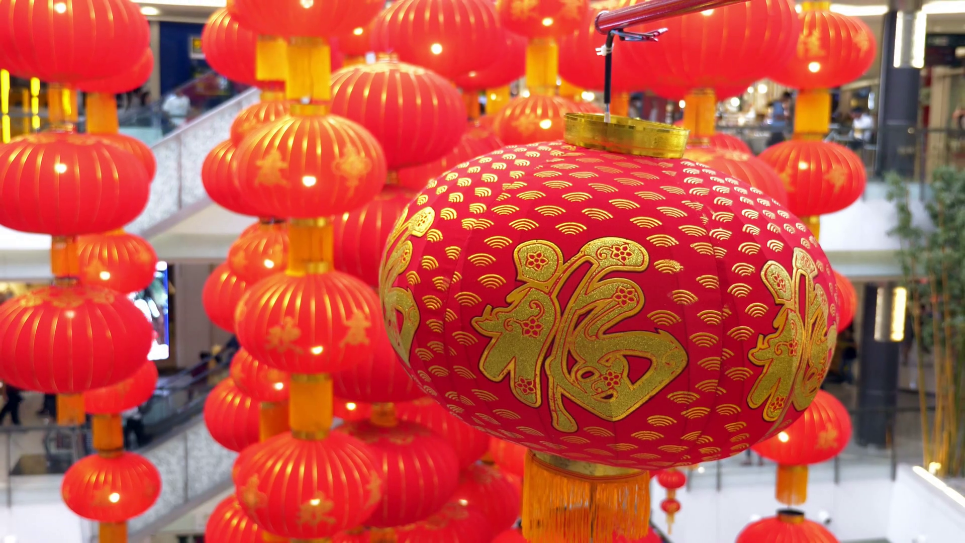 Zoom out shot Traditional Red Chinese Lanterns Decorating on the