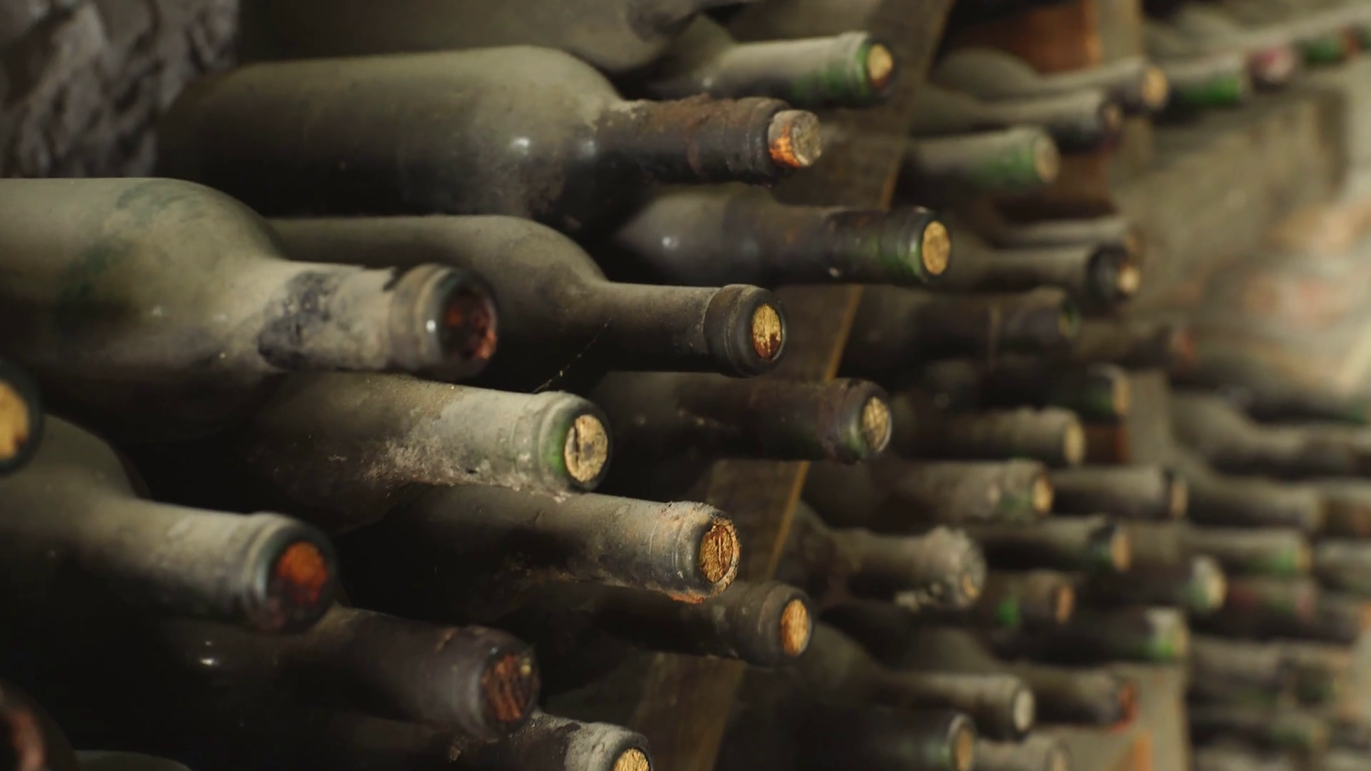 some very old and dusty wine bottles in a wine cellar Stock Video