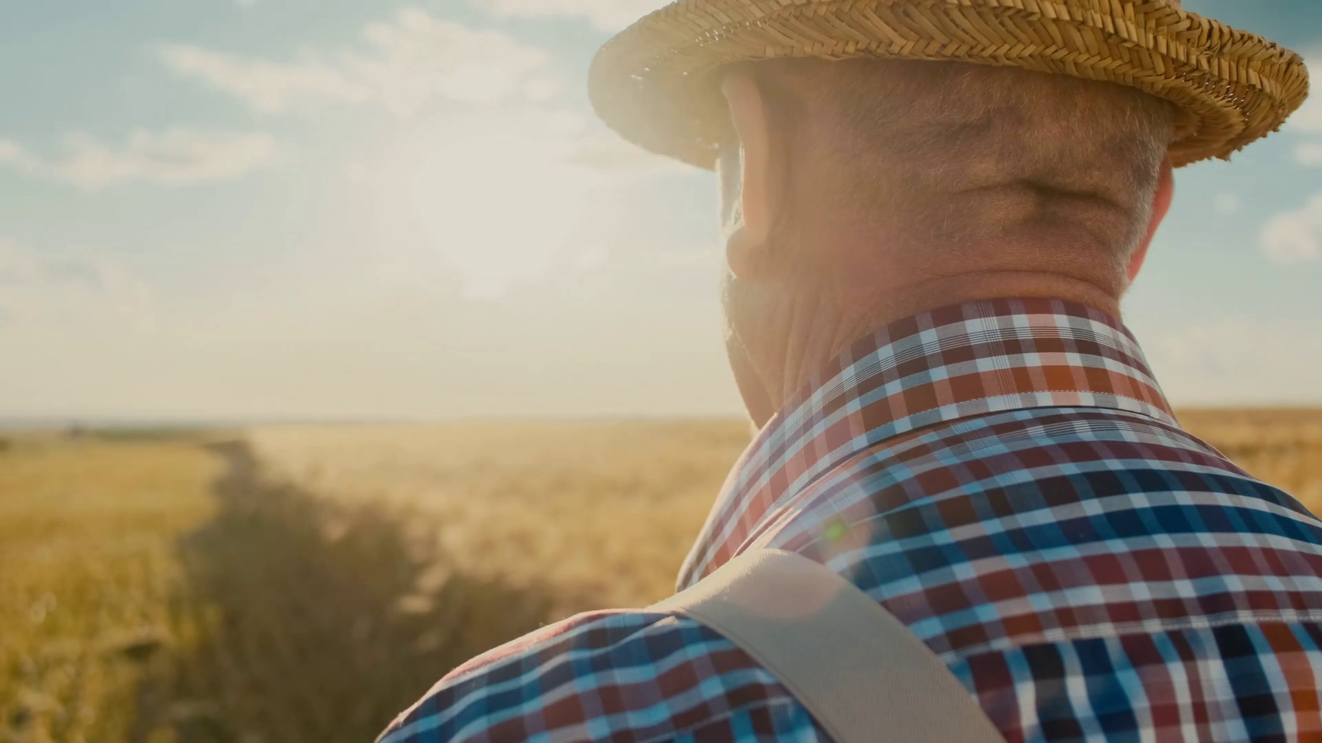 Back view on the old Caucasian man farmer in the hat and plaid shirt