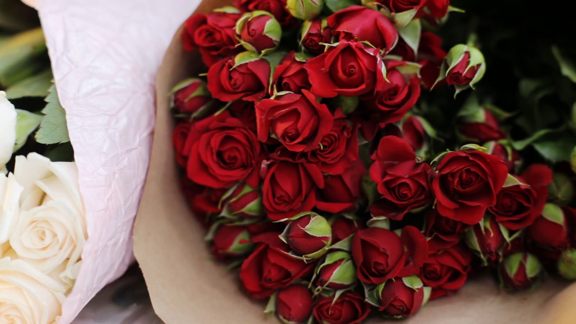 Red and white bouquets of roses. Stock Video Footage 0008 SBV