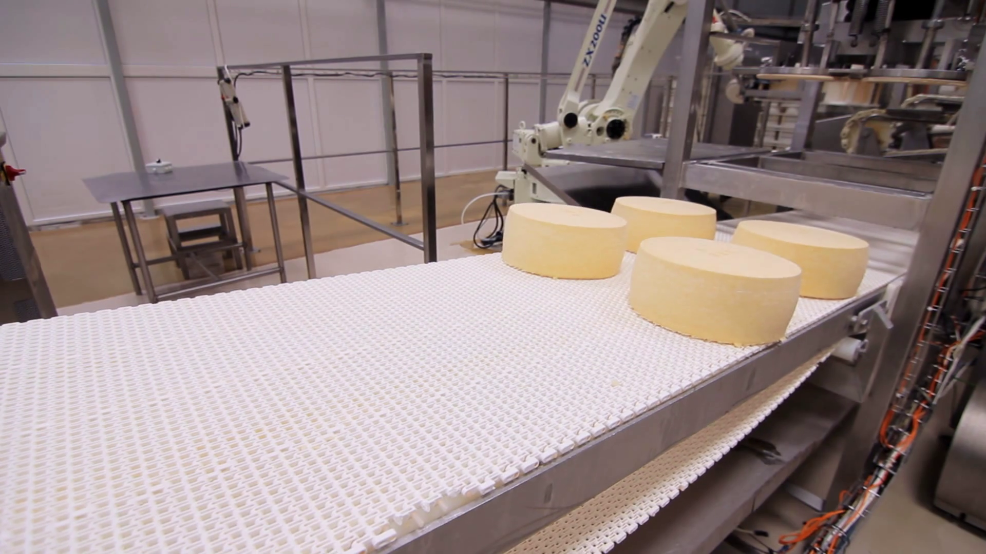 Cheese Rounds On Conveyor Belt Cheese Stock Footage SBV320311781