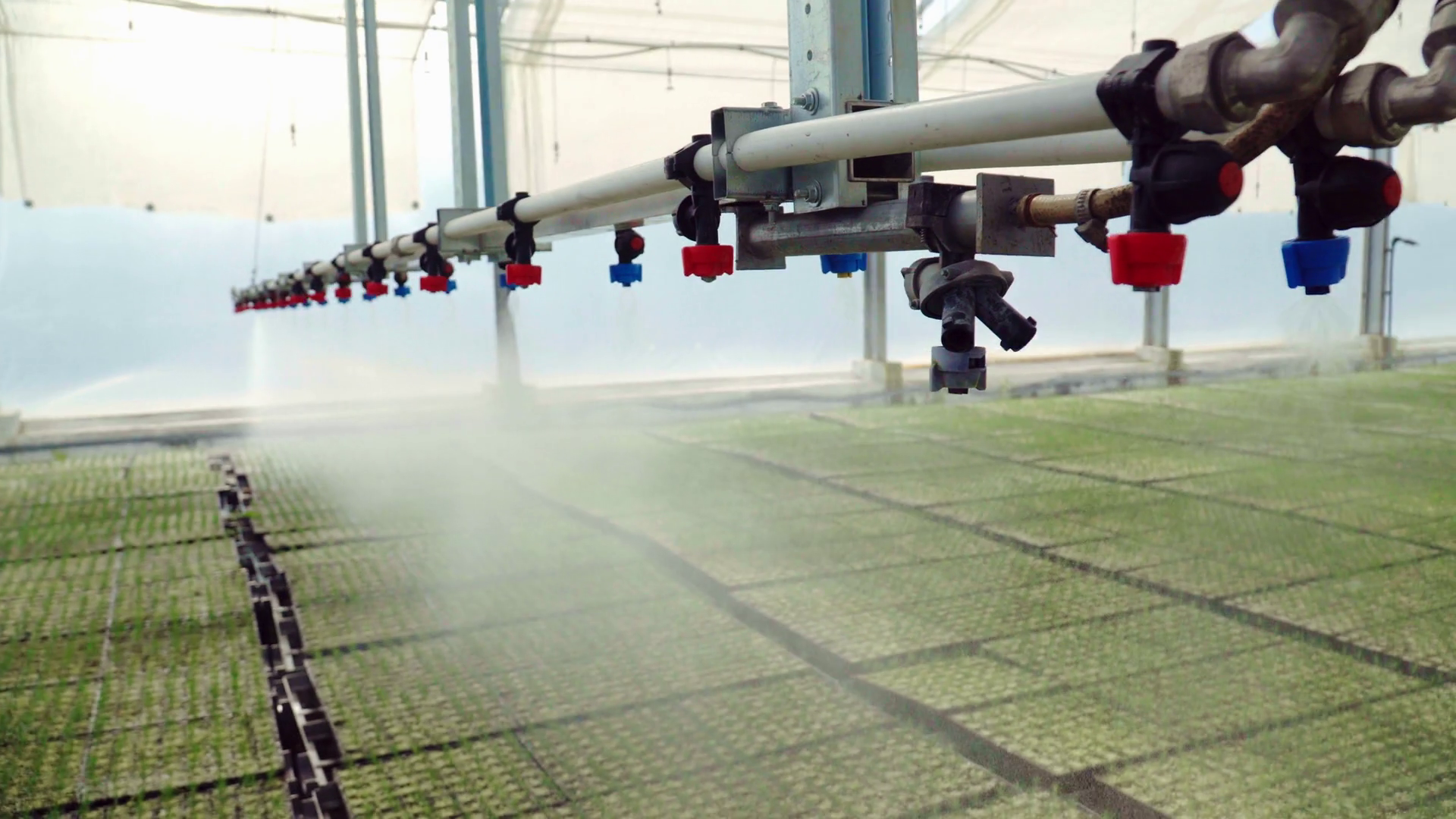 Irrigation Machine Warering Seedlings Stock Footage SBV334415302