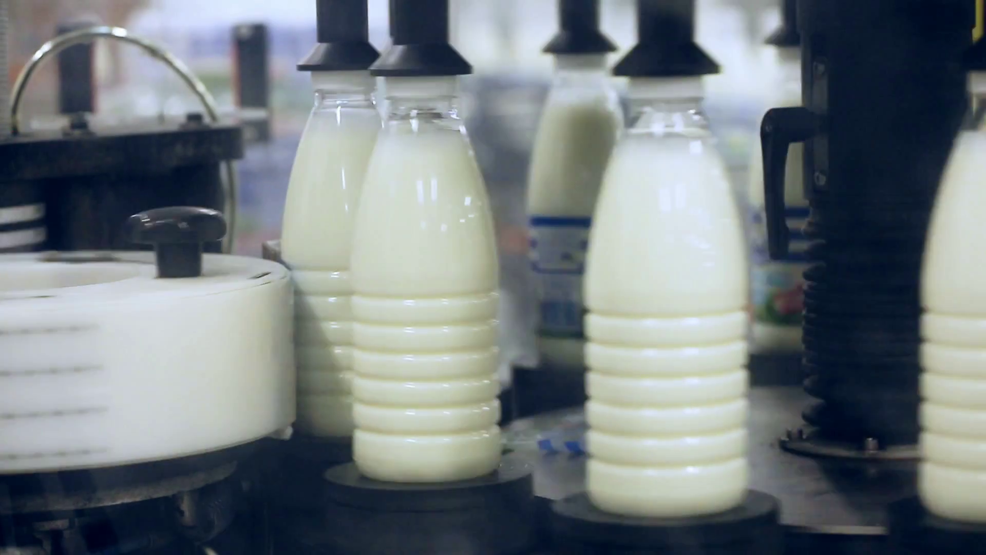 Milk Packaging Line Bottle Label At Dairy Stock Footage SBV318432831