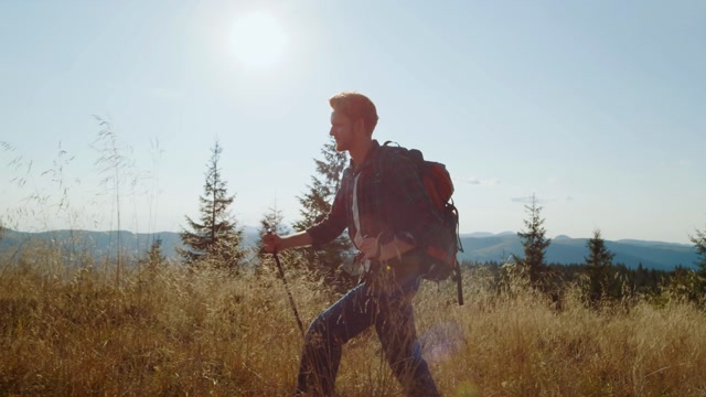 Forest Man Walking Stock Footage: Royalty-Free Video Clips - Storyblocks