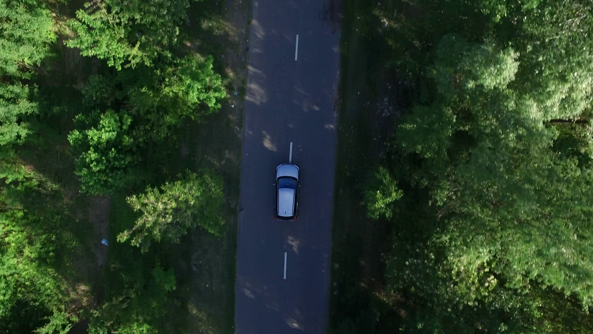 Top view car driving on countryside road past green trees. Drone view