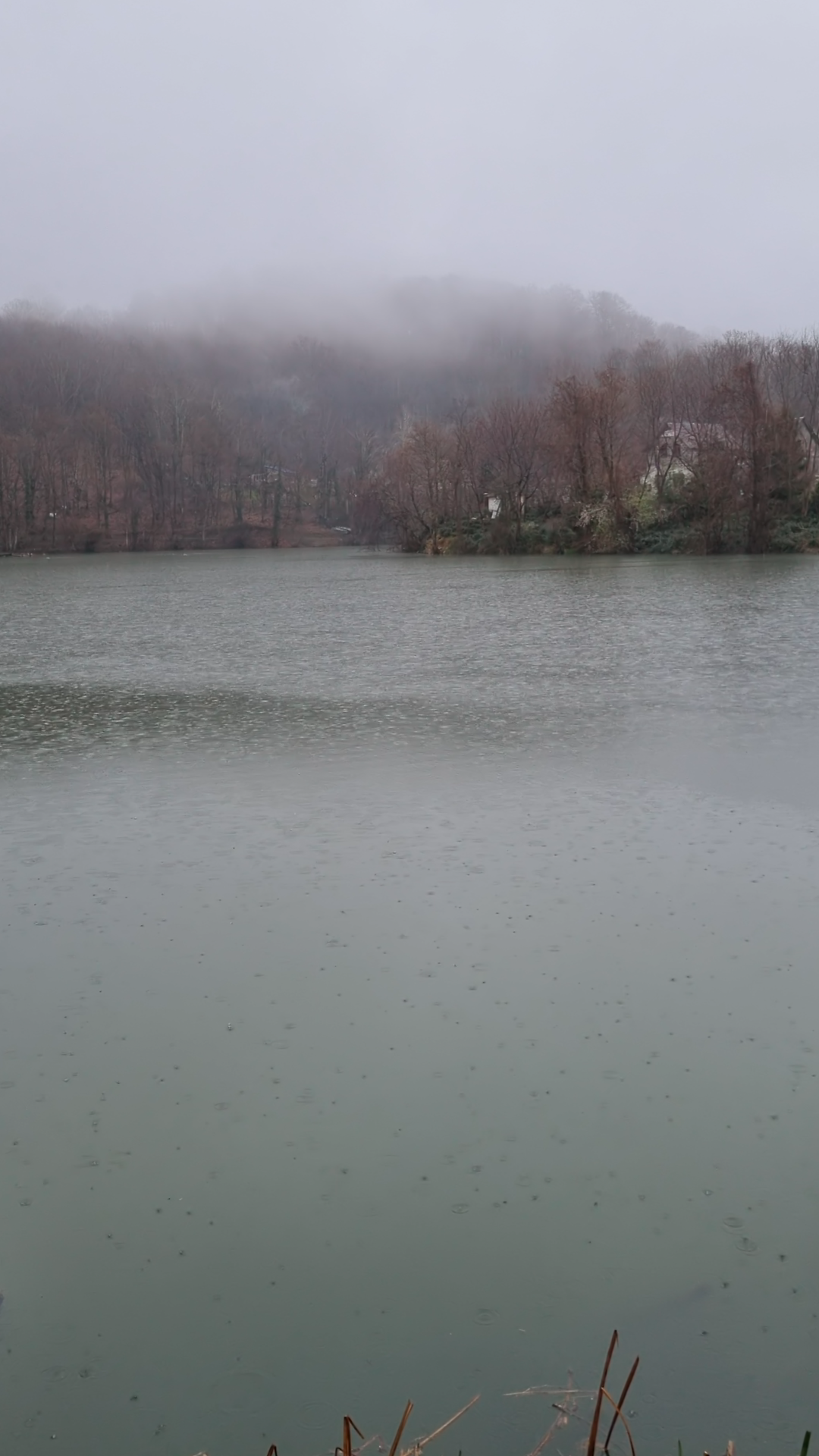 Rain Dropping On Lake Rainy Season In Stock Footage SBV-353044377 ...