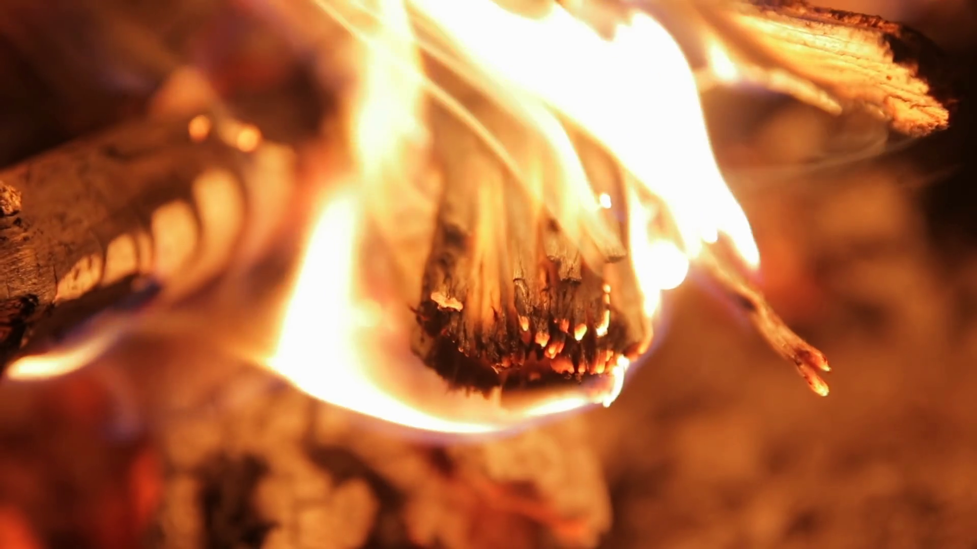 Beautiful Dancing Flames From Bonfire In Stock Footage SBV-353252751 ...