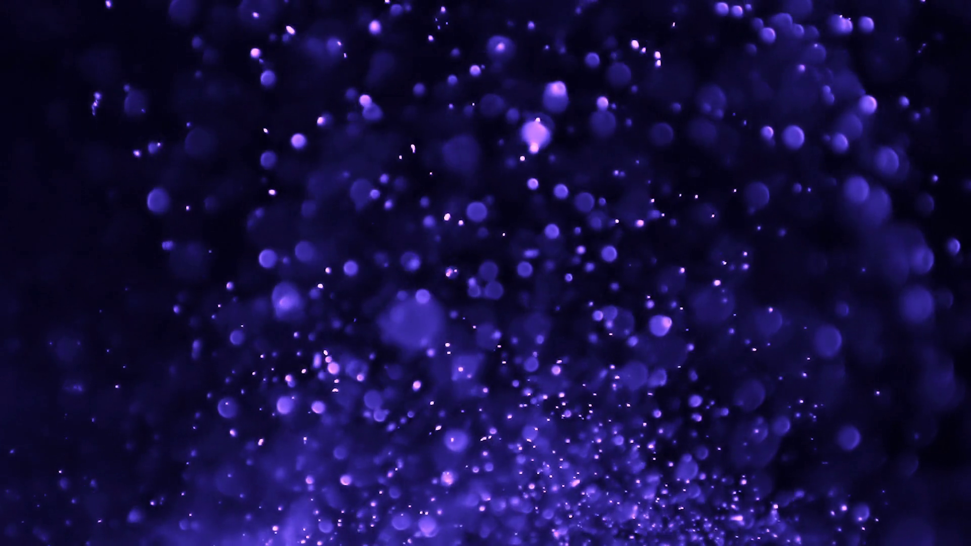 Purple Flying Particles With Bokeh Effect On Stock Motion Graphics SBV ...