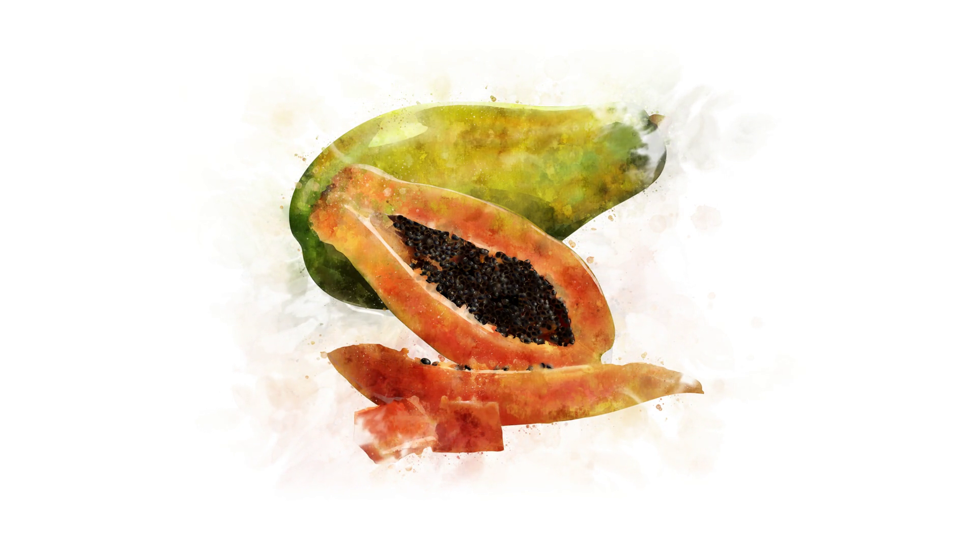 Papaya, animated illustration Motion Background Storyblocks