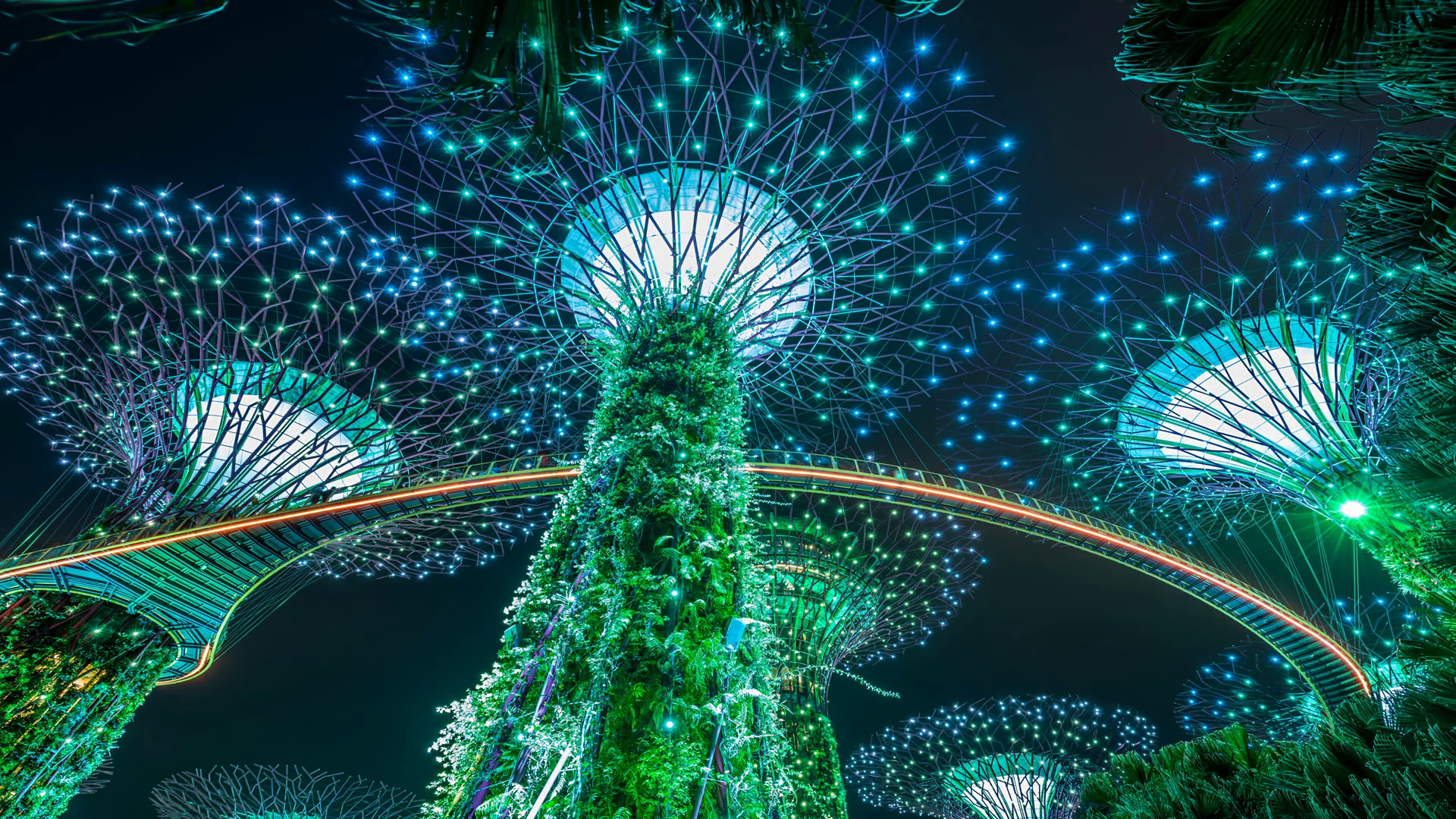 Singapore Light Show in Gardens by the Bay. Seampess Loop Stock Video
