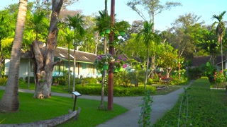 Exquisite flora on a lush island. Diverse flowers and trees. Enchanting tropical scenery.