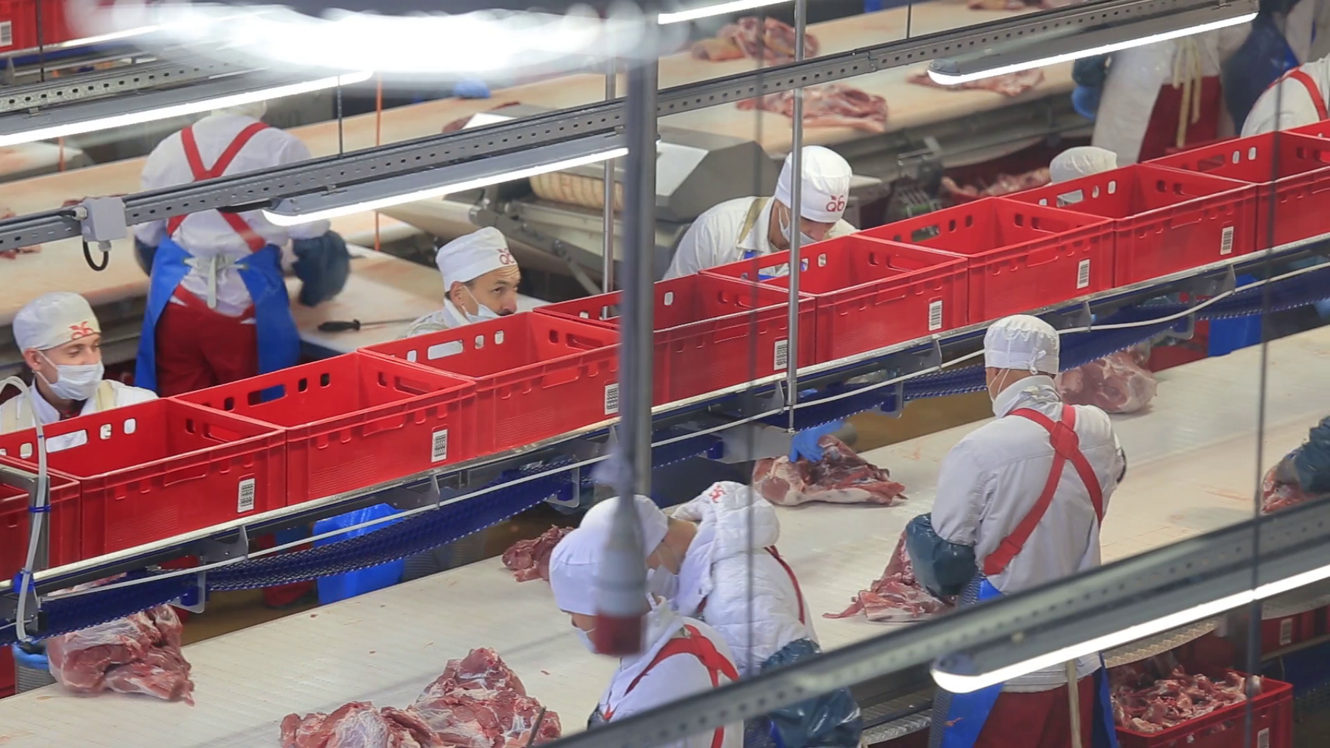 Industrial Production Of Sausages Working Stock Footage SBV309748701