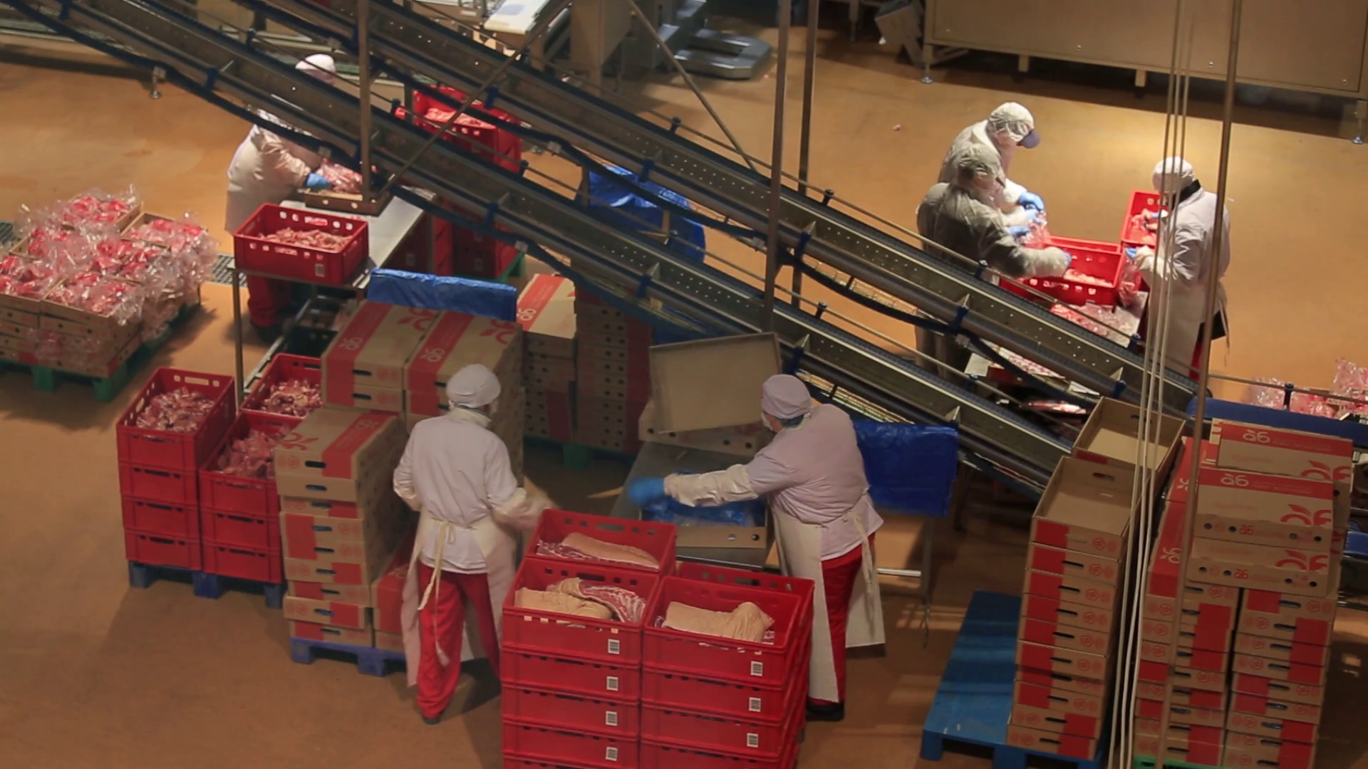 Industrial Production Of Sausages Working Stock Footage SBV309748546