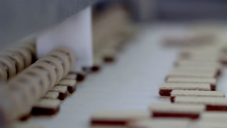 Chocolate sweets with wafer filling. Moving on the conveyor at the candy factory. Sweet joy