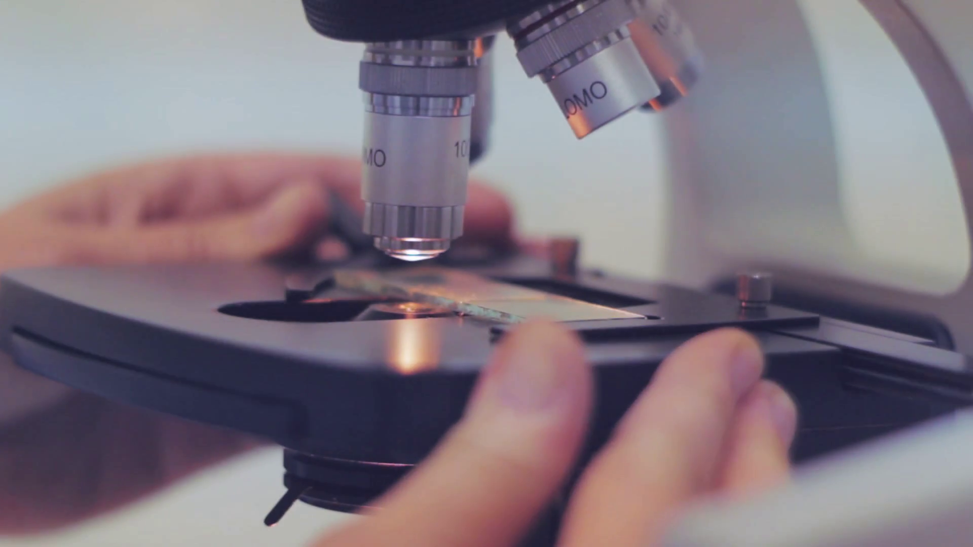 Close Up Of Examining Of Test Sample Under Stock Footage SBV328921054