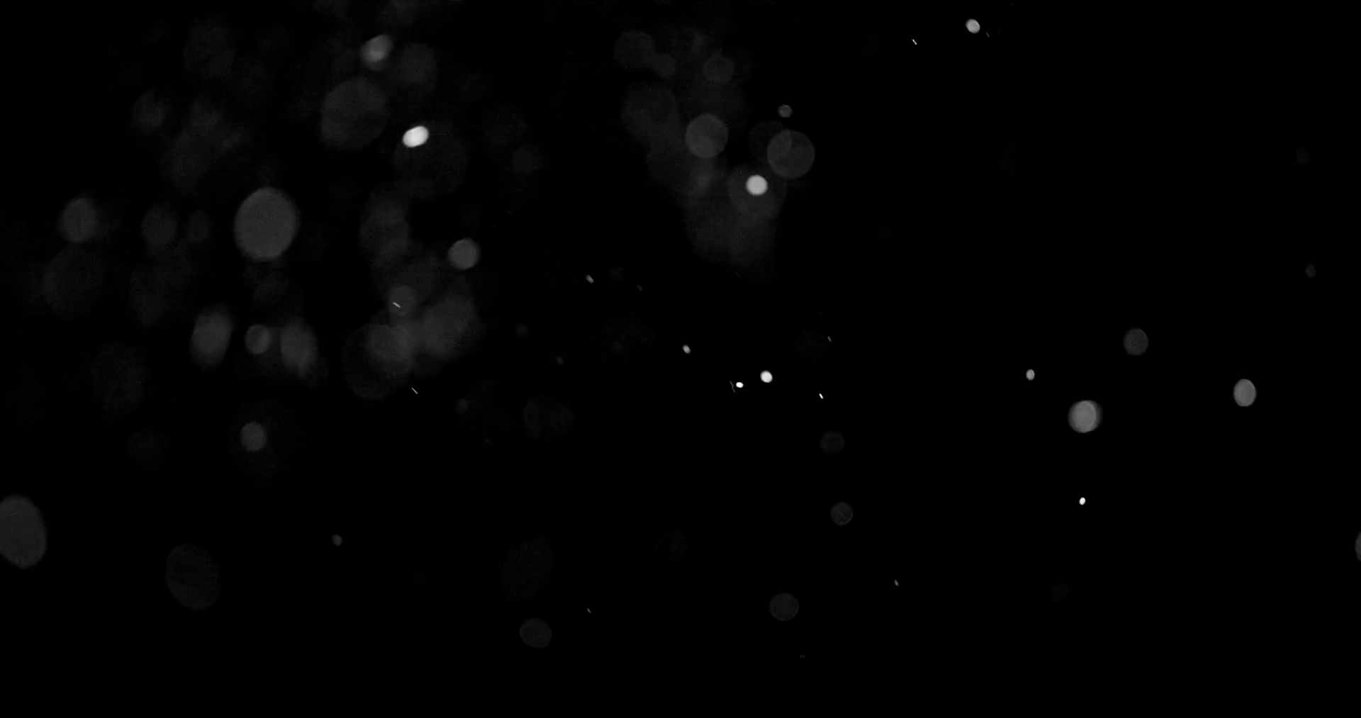 Flying dust particles on a black background Stock Video Footage 0017