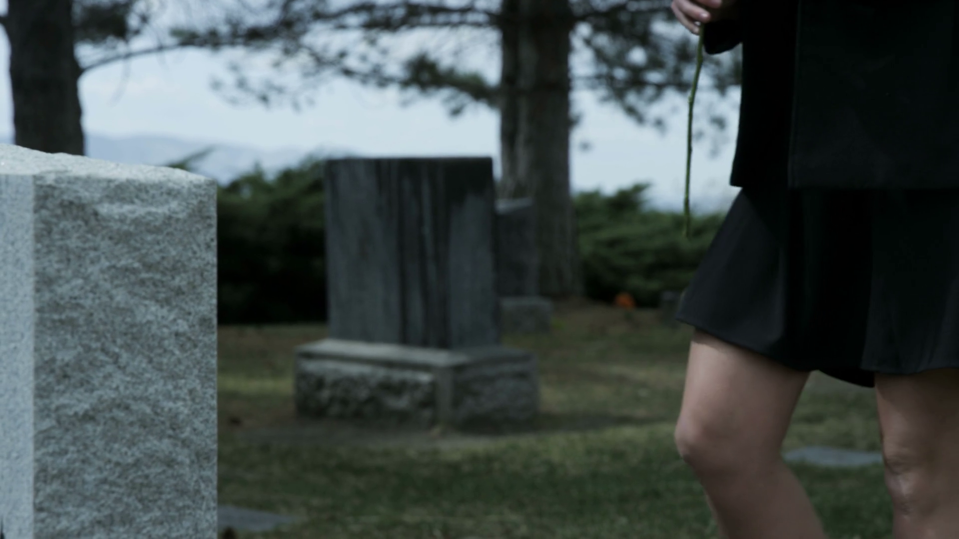 Slow Motion Girl Leaving Rose On Grave Stone Stock Footage SBV