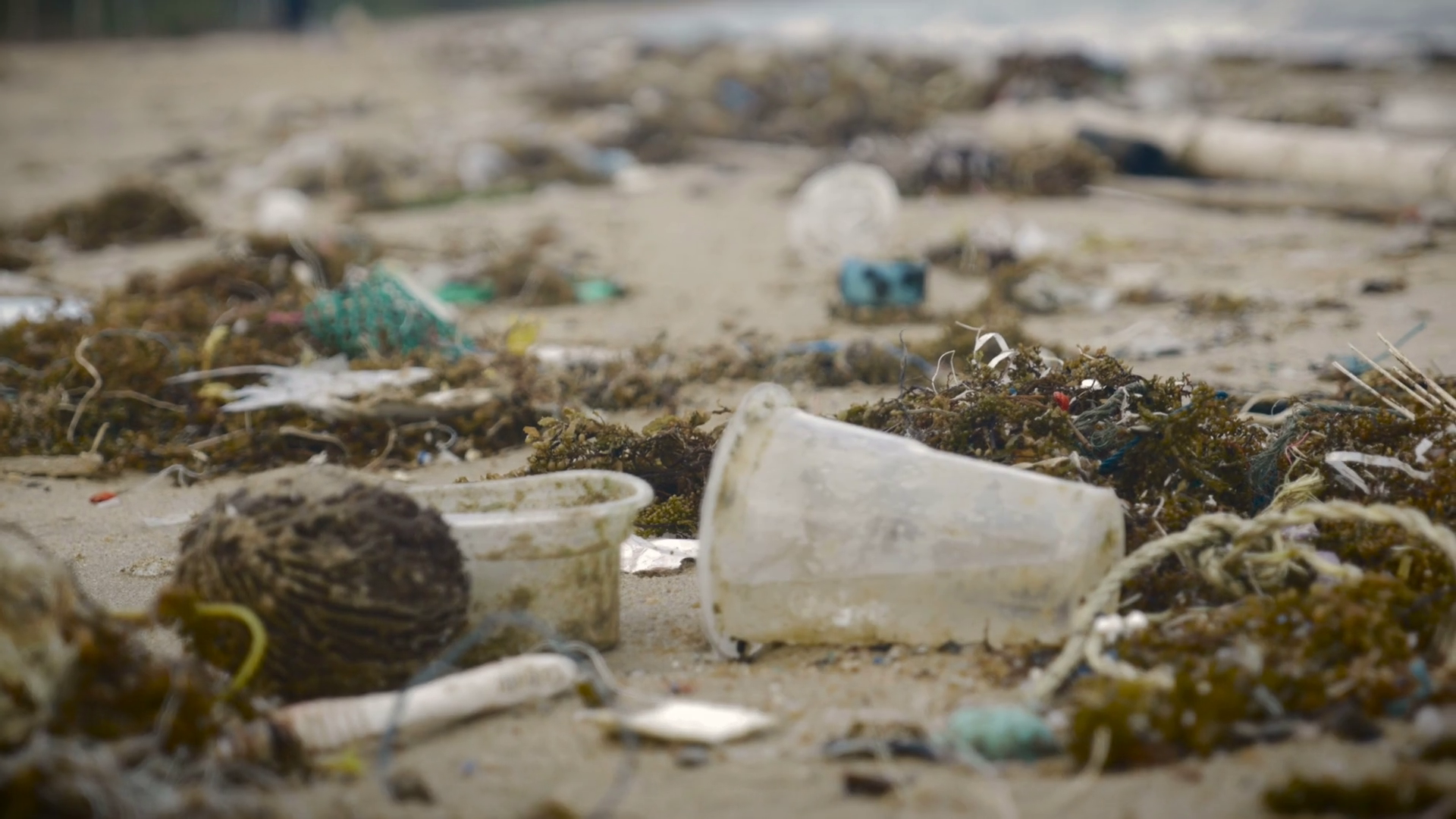 Waste management essay in 150 words image