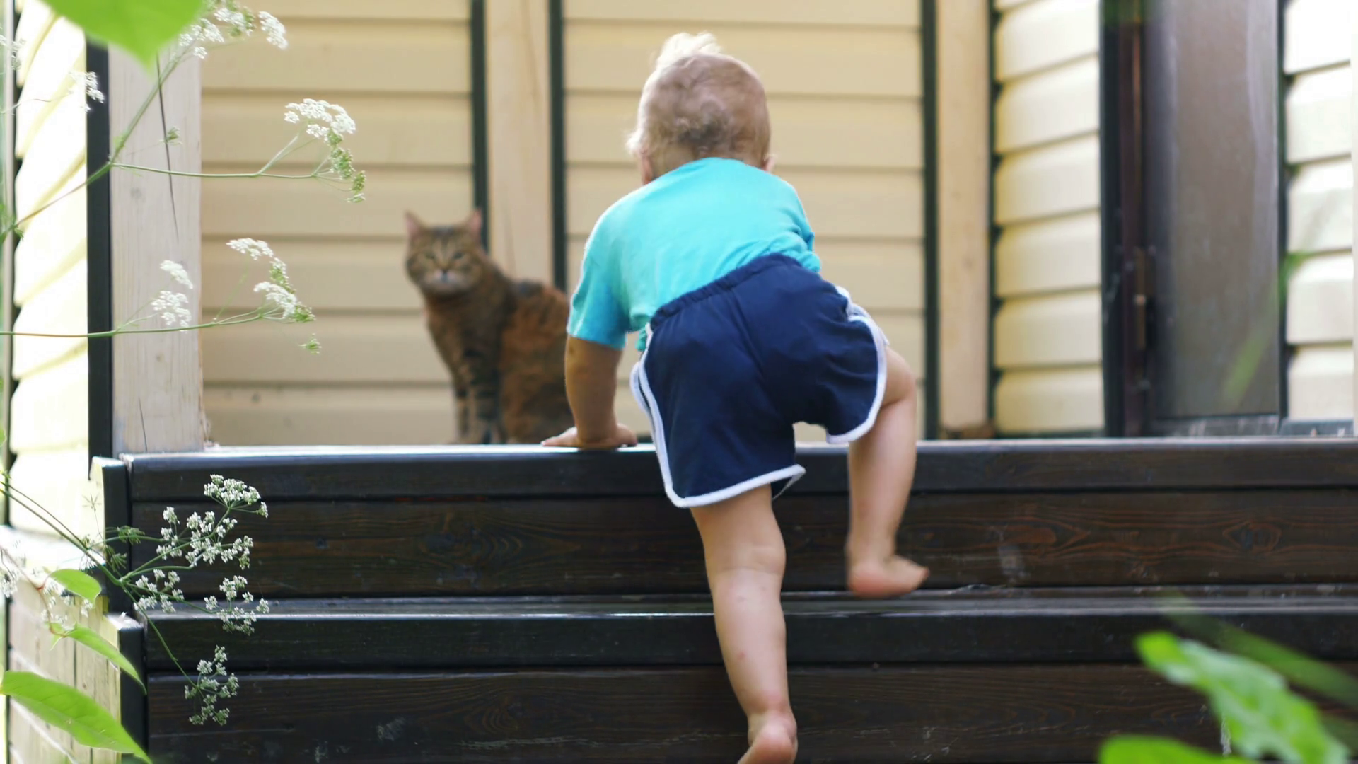 A little baby boy climbing up on stairs Stock Video Footage Storyblocks