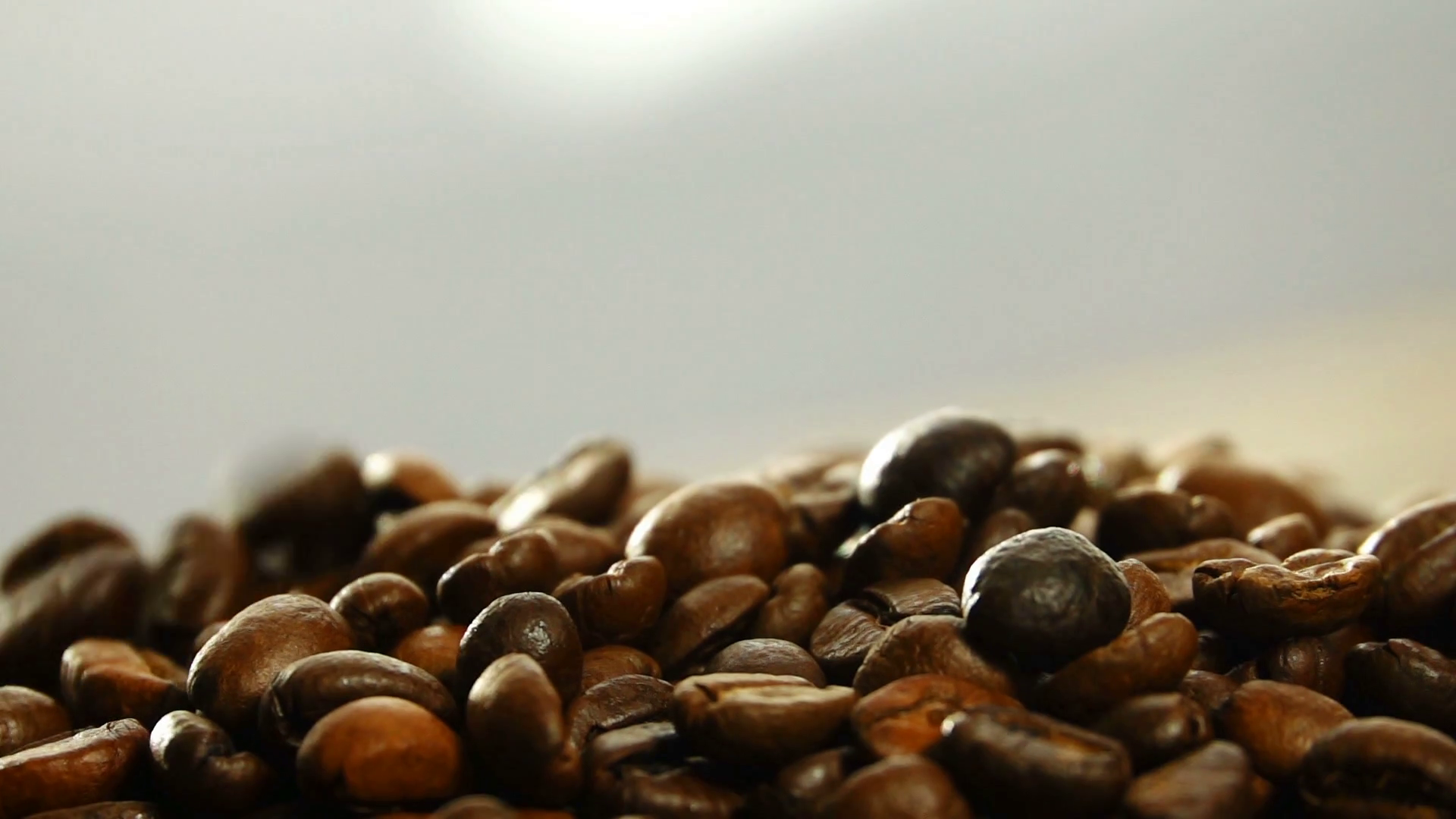Coffee Close Up Close Up Of Seeds Of Coffee Stock Footage SBV332257196