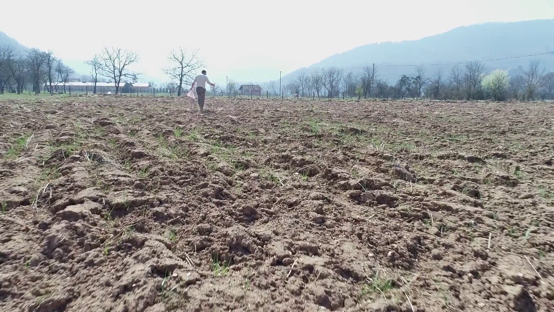Footage Of Person Sowing Oat On Fieldthe Stock Footage SBV334683023