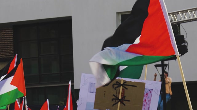 Gaza Hamas Flag Stock Footage: Royalty-Free Video Clips - Storyblocks