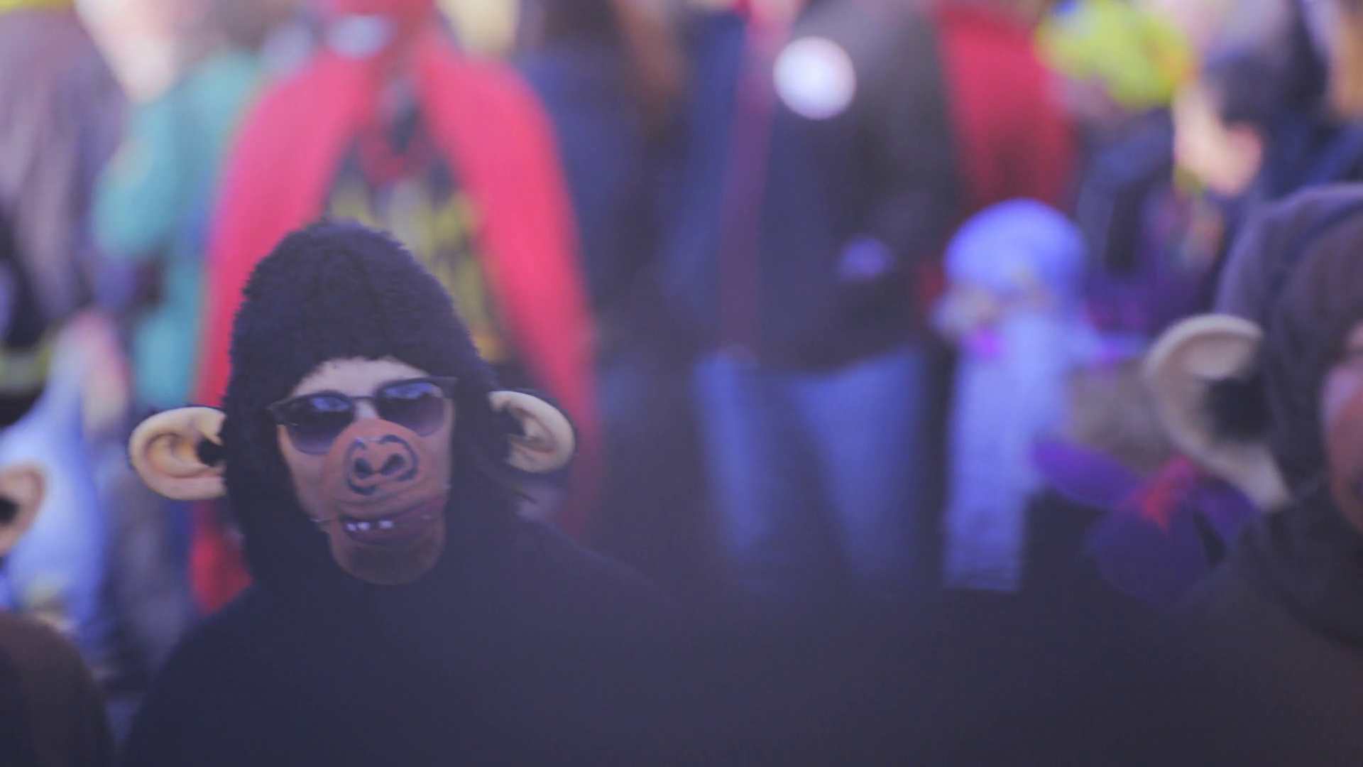 Monkey Costumes Swarming At Carnival Parade Stock Footage SBV-352974474 ...